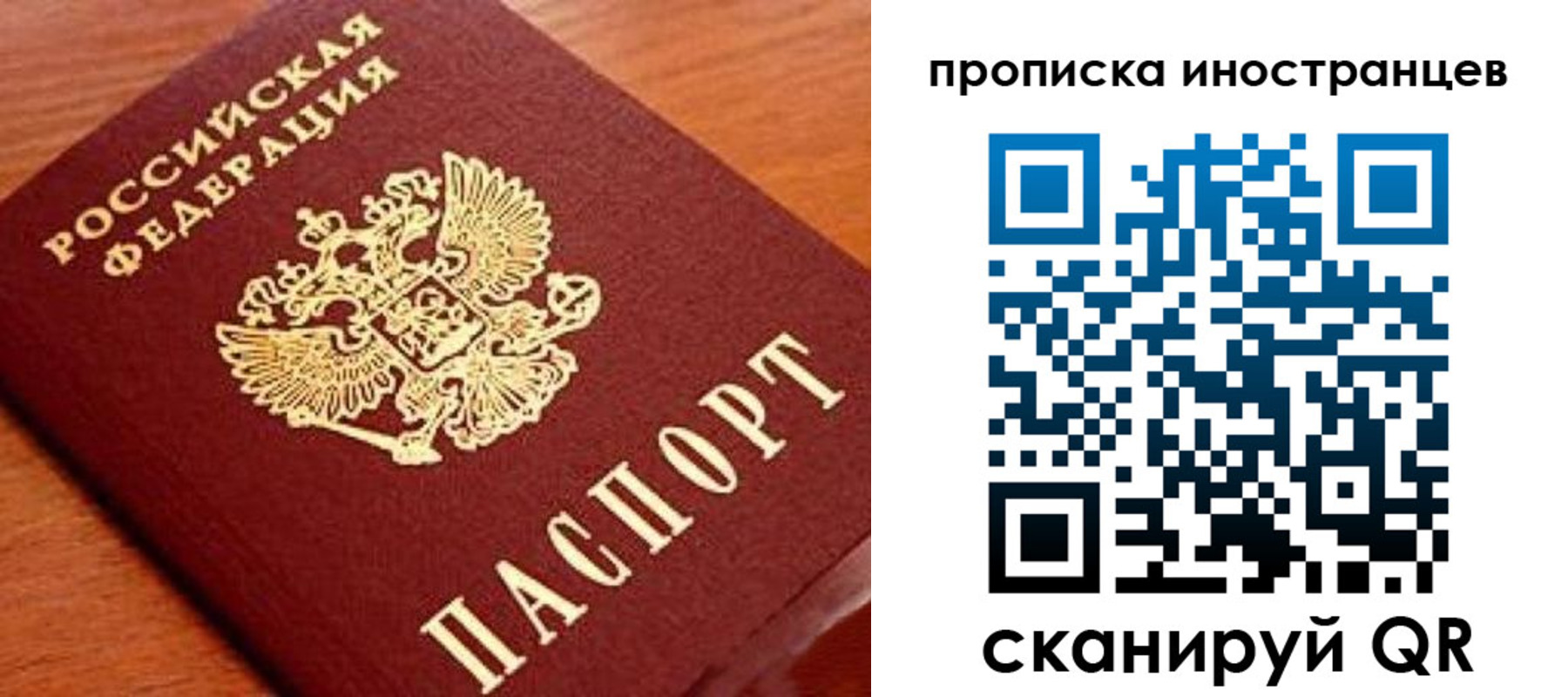 прописка законно в Славгороде